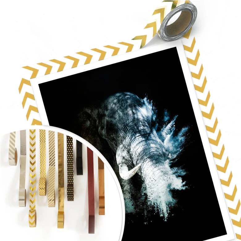 Póster Hugonnard - Explosión salvaje: Elefante 