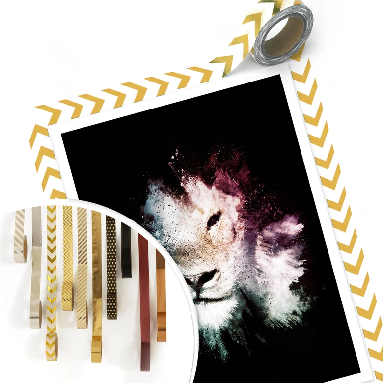 Póster Hugonnard - Explosión salvaje: León 