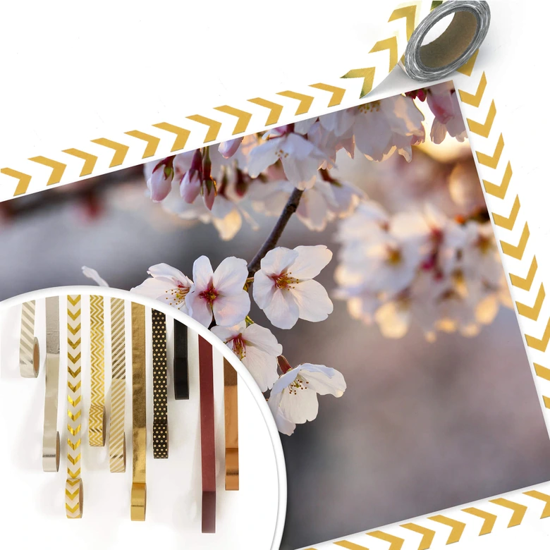 Poster Sakura branch 