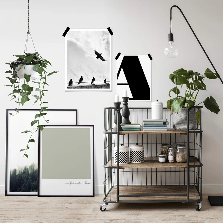 Poster My favourite colour - olive 