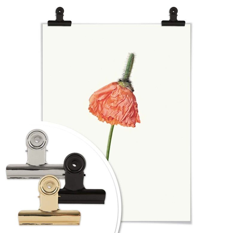 Poster Die rote Blüte 01 