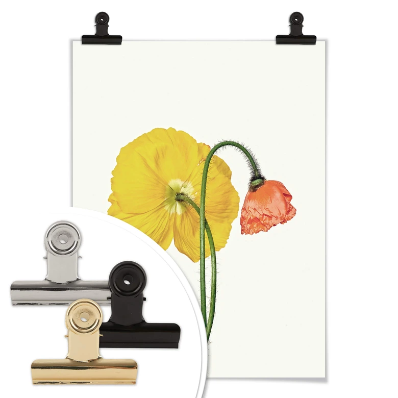 Poster Die rote und gelbe Blüte 