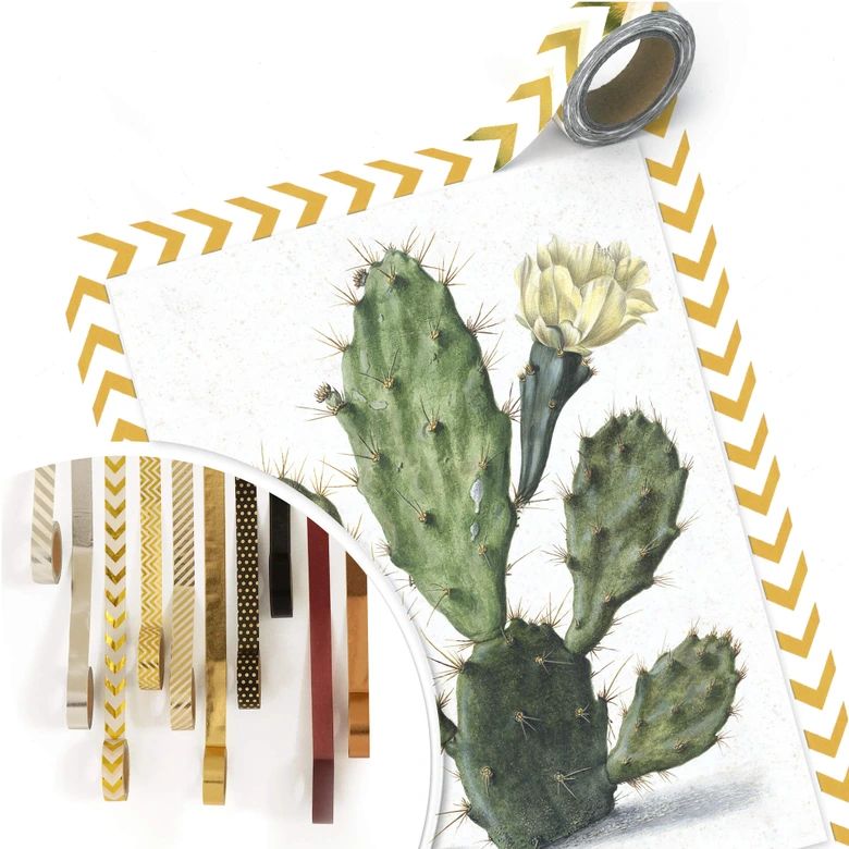 Poster Saftleven - Kaktus 