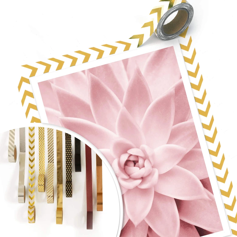 Poster Sisi & Seb - Rosa Sukkulente 