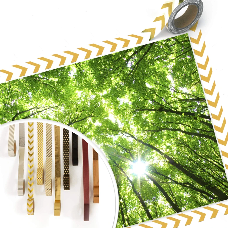 Poster Sunny Forest 2 