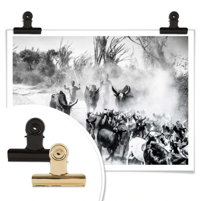 Poster Tagliarino - Ziegenherde in Afrika 