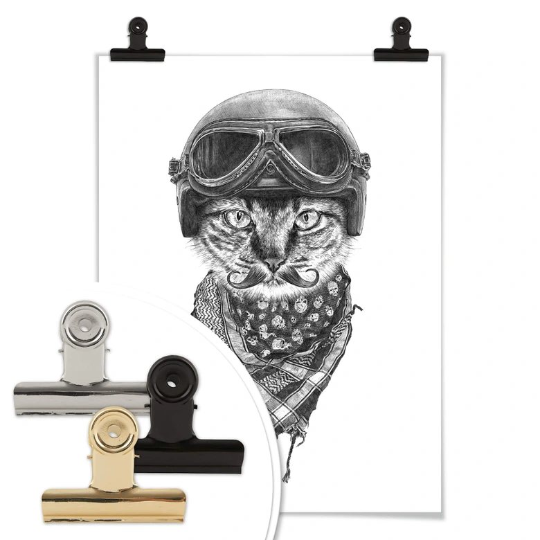 Poster Kools - Biker Cat 