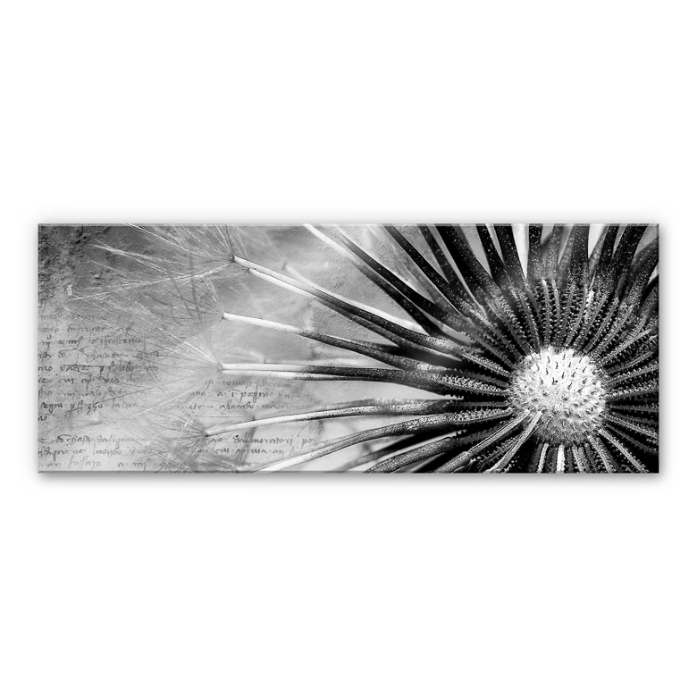 Spritzschutz Pusteblumen-Poesie - Panorama 