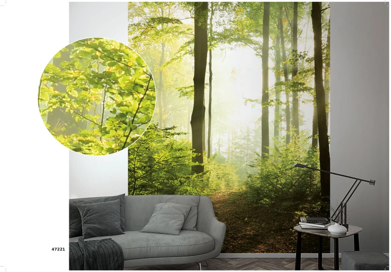 Forest at sunset Wallpaper Photo Wallpaper Green,Flower 2,70 x 2,12 m 