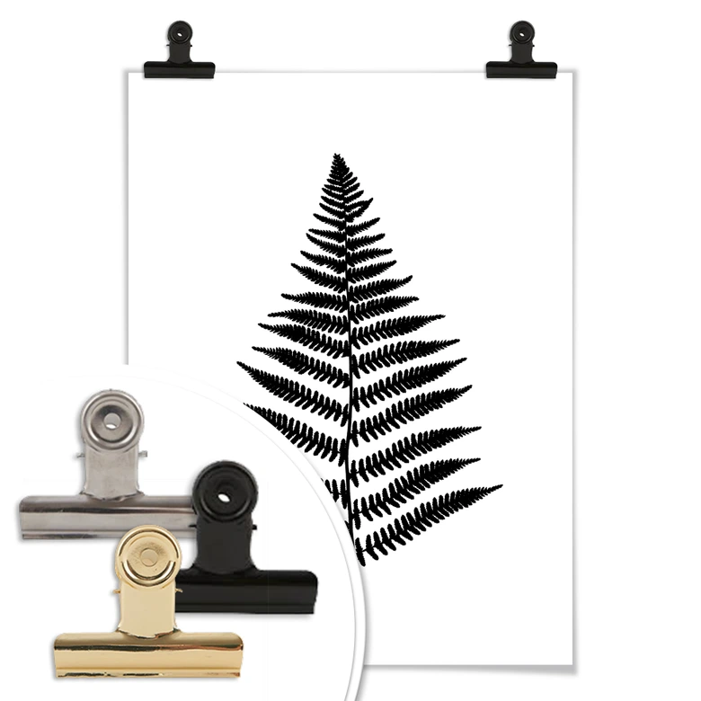 Poster Farn 