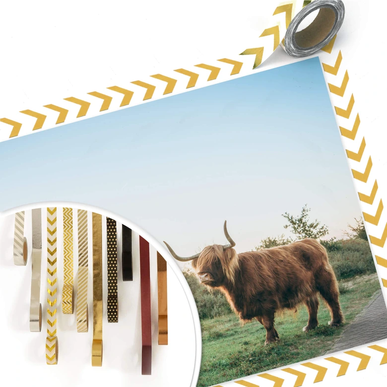 Póster Vaca de las Tierras Altas 01 