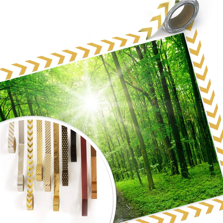 Poster Sunny Forest 