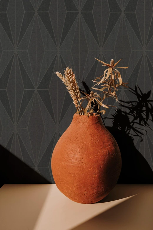 Vliestapete Grafisch Modern in Schwarz  