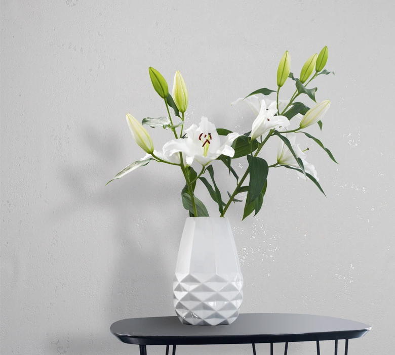 Vliestapete in metallischer Betonoptik weiß Uni 