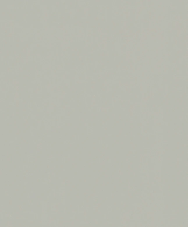 Icke-vävd tapet texturerad slät modern matt i grå beige 