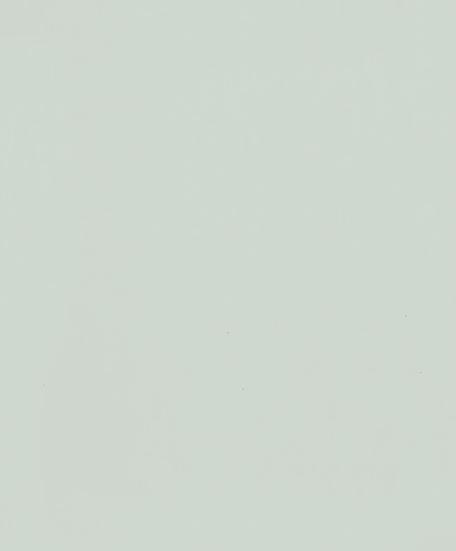 Papel pintado no tejido texturado liso moderno mate en verde claro 