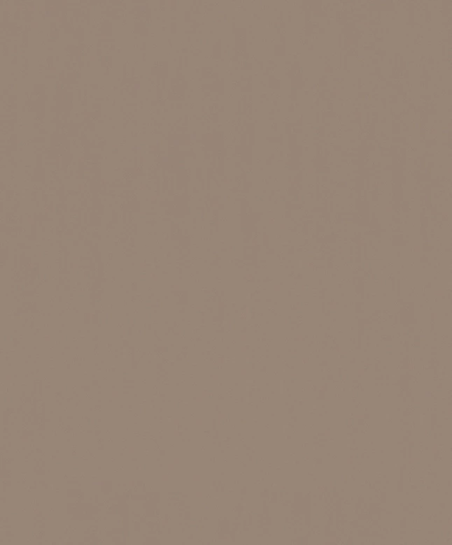 Papel pintado no tejido texturado liso moderno mate en marrón 