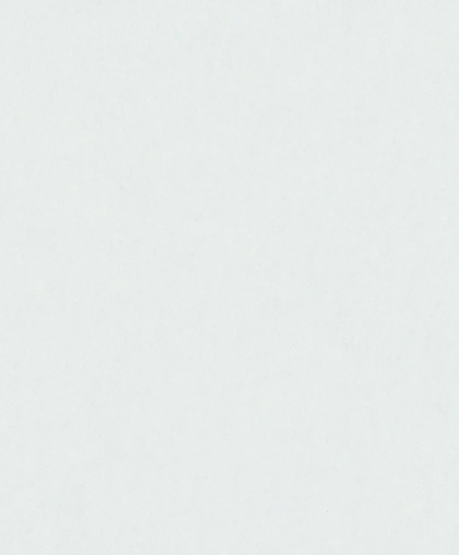 Vliestapete Strukturiert Uni Modern matt in Weiß 