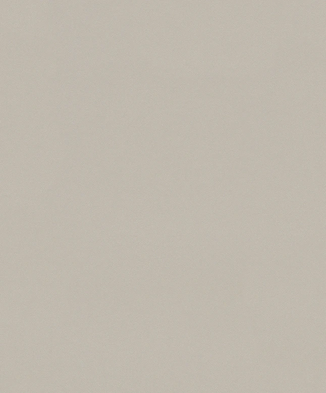 Vliestapete Strukturiert Uni Modern matt in Beige 