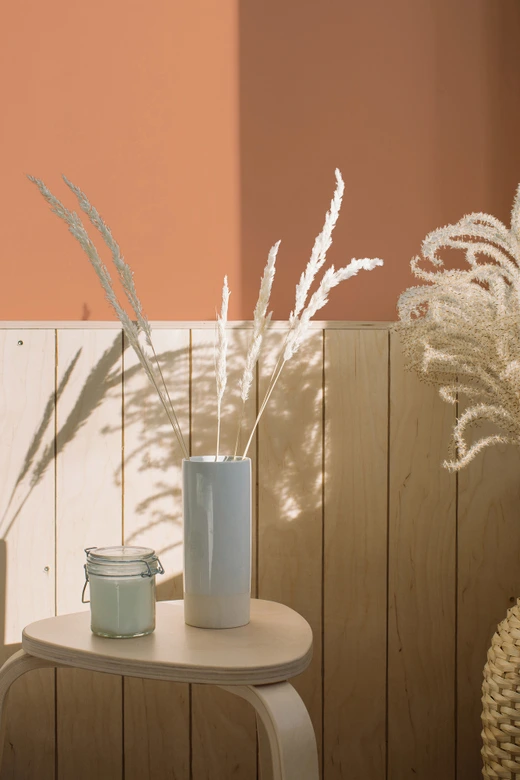 Peinture murale premium orange - PURO c9002 orange poussiéreux 