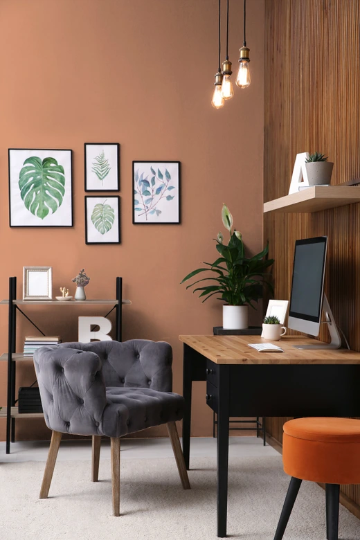 Peinture murale premium orange - PURO c9013 divers abricot 