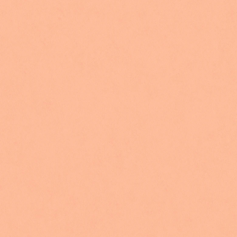 Vliestapete einfarbig Orange - Tapete mit glatter Oberfläche - Moderne Unitapete matt 