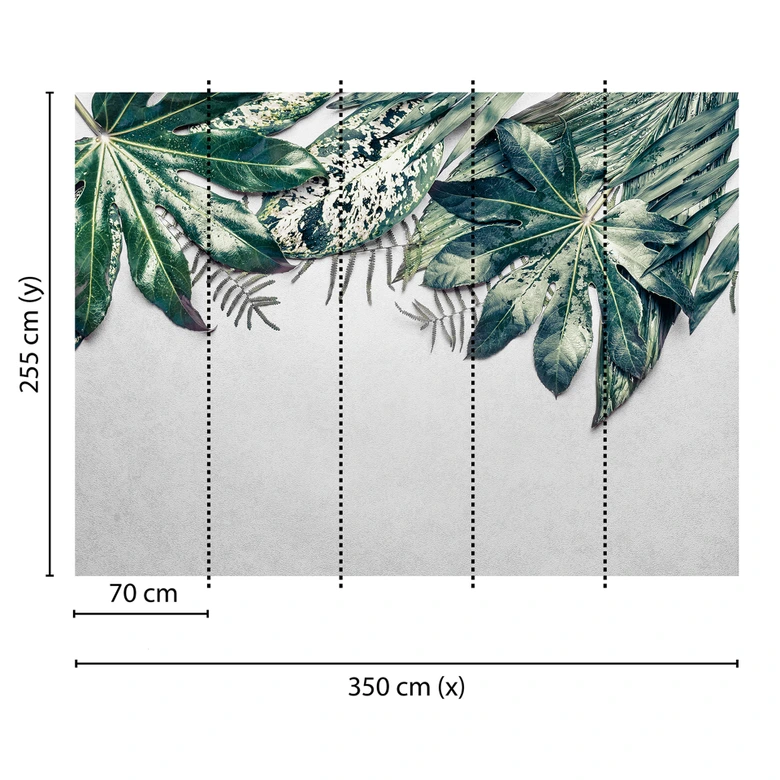 Livingwalls Fototapete Designwalls Leaves Variety Natur 