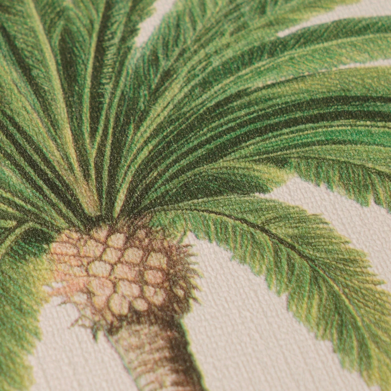 Papier peint palmier Beige Vert - Papier peint intissé illustré de plantes tropicales 