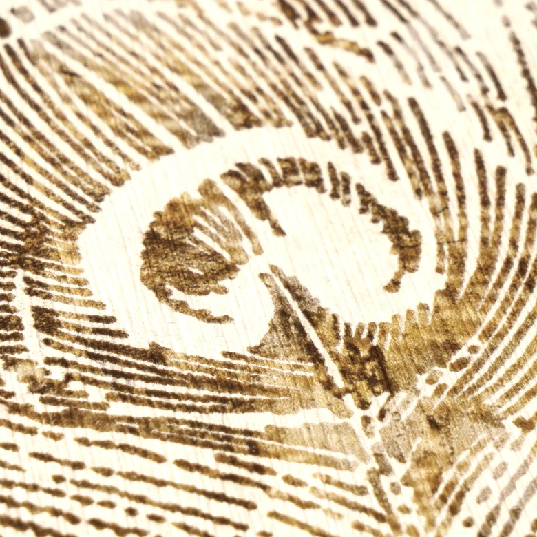 Papier peint intissé avec motif de plumes dans les tons beige et marron sur fond crème 