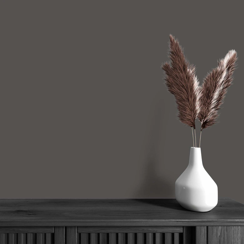 Peinture muraleale gris anthracite satiné mat - couleur intérieure - THE COLOR KITCHEN Poppy Seed 
