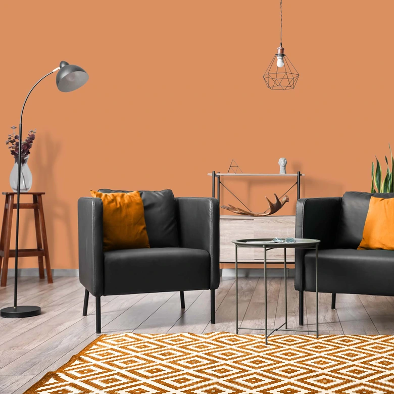 Orange Wandfarbe seidenmatt I Pretty Pumpkin | energiegeladen begeisternd | THE COLOR KITCHEN 