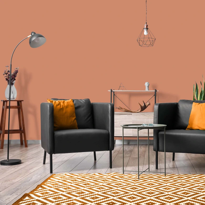 Orange Wandfarbe seidenmatt I Ruddy Rosehip | energiegeladen begeisternd | THE COLOR KITCHEN 
