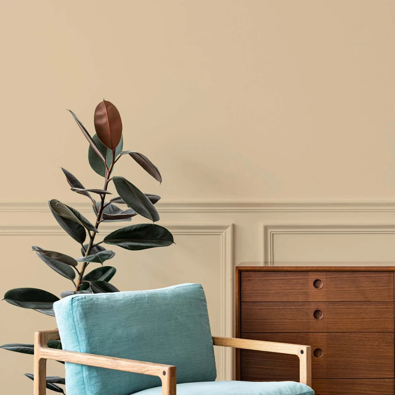Beige Wandfarbe seidenmatt I Asthetic Artichoke | Raum öffnend und beruhigend | THE COLOR KITCHEN 