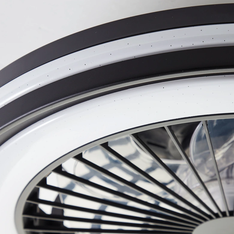 Deckenventilator mit LED-Licht Malea, schwarz, Deckenleuchte 