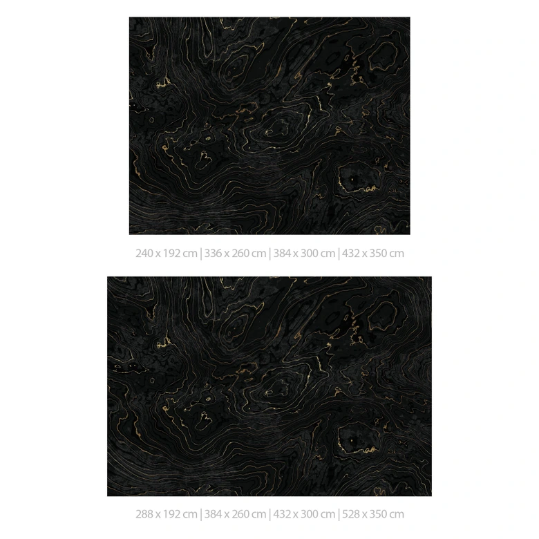 Papier peint lignes abstraites noir-or - Amini 