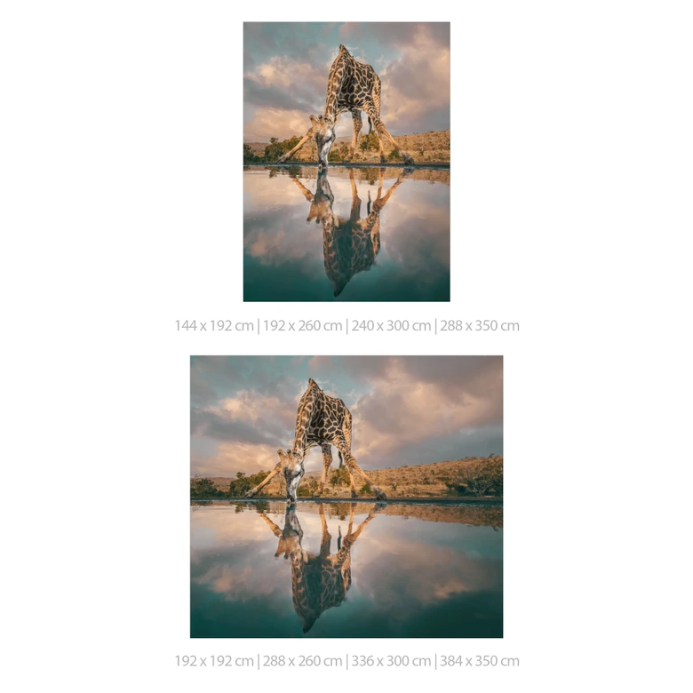 Reflektion av en giraff i vildmarken | Afrika Fototapet - Amtmann 