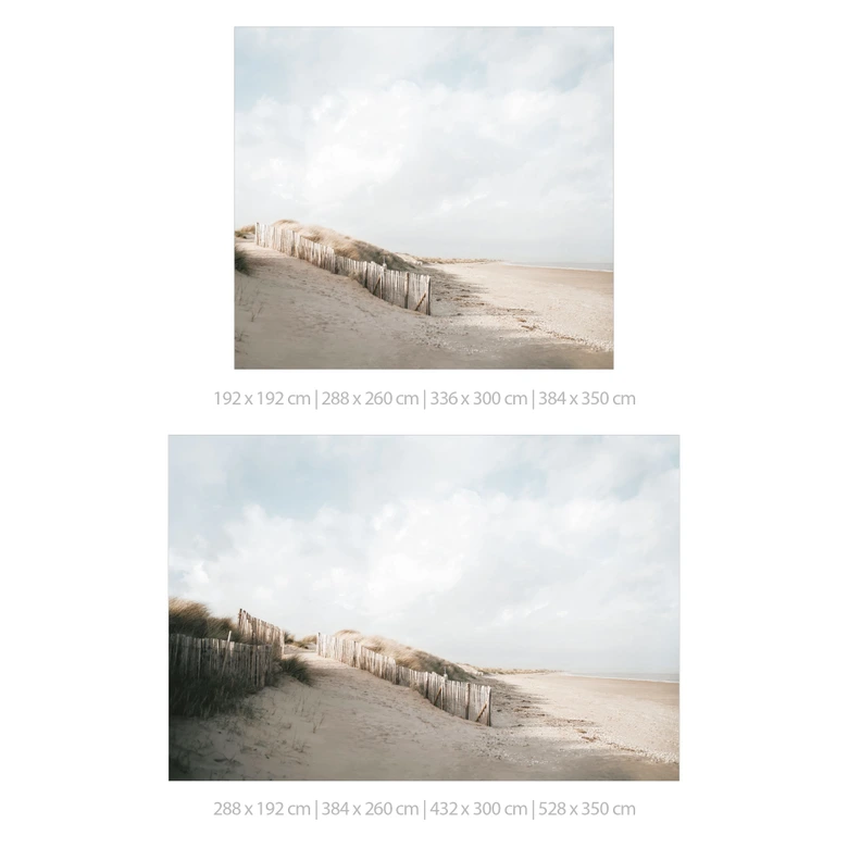 Fototapete Küste - Dünenlandschaft an der Nordsee - Annie 