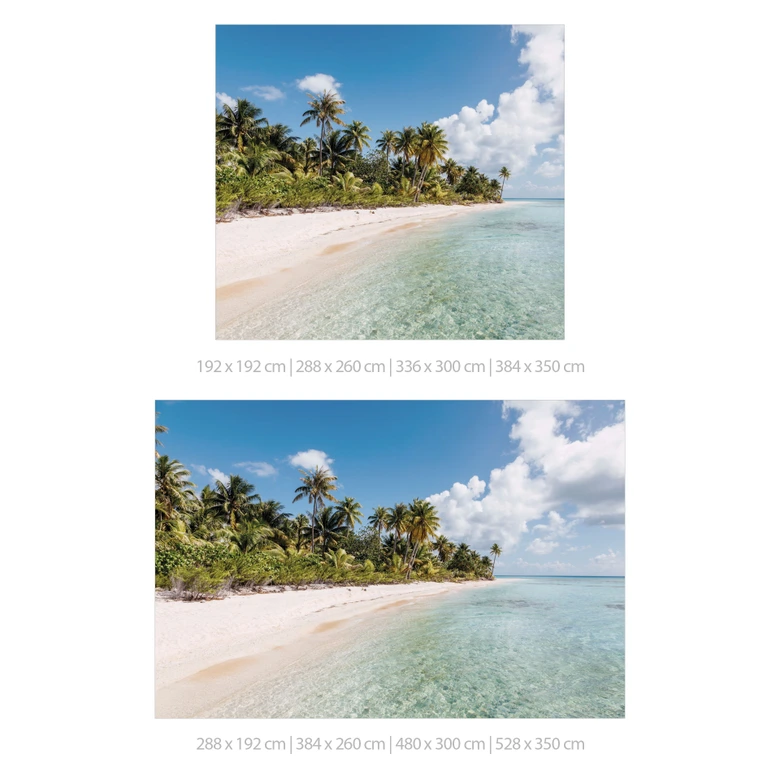 Strandfototapet palmestrand i Sydhavet - Colombo 