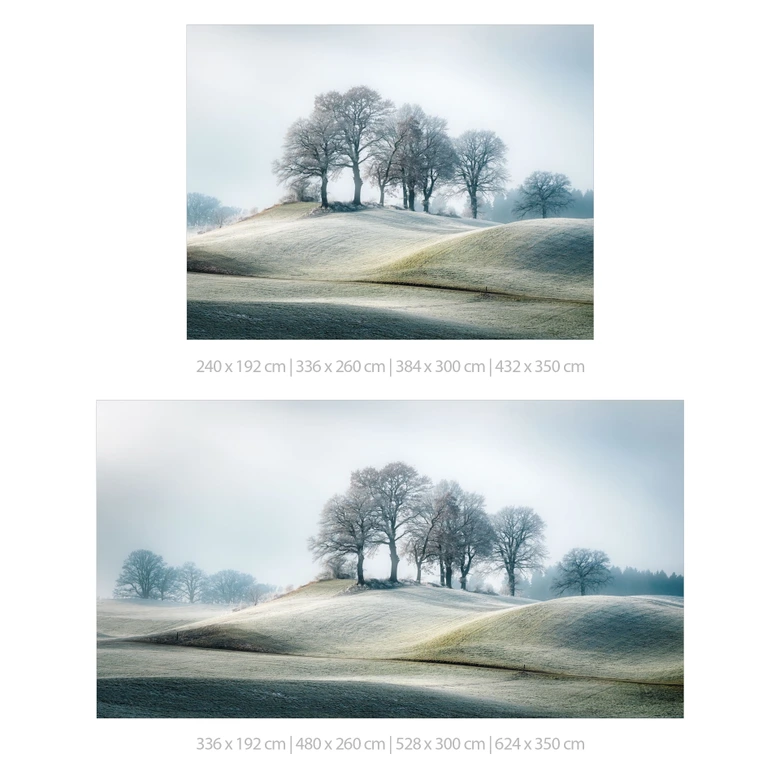 Frostigt kuperat landskap | naturligt landskap Fototapet för vardagsrum och sovrum - Eisenmann 