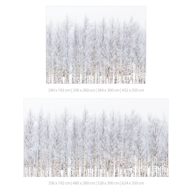 Fototapete Waldtapete Birkenwald im Winter - EMELIEmaria 