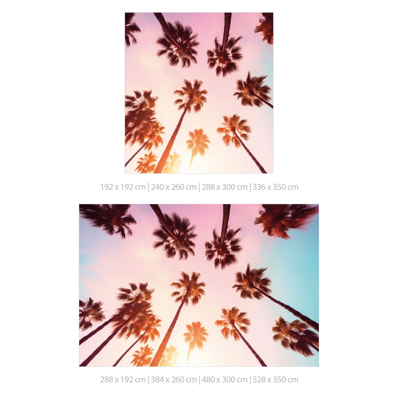 Tropische Fototapete California Dreaming mit Palmen-Blick - Hugonnard 