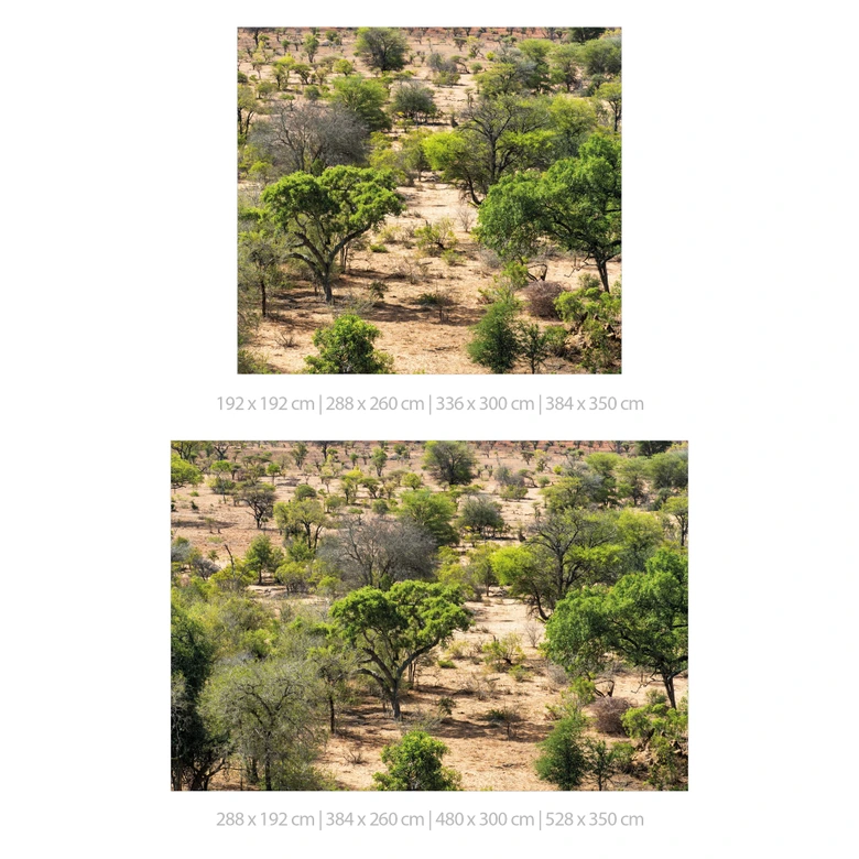 Fototapete Savannenlandschaft in Afrika - Hugonnard 