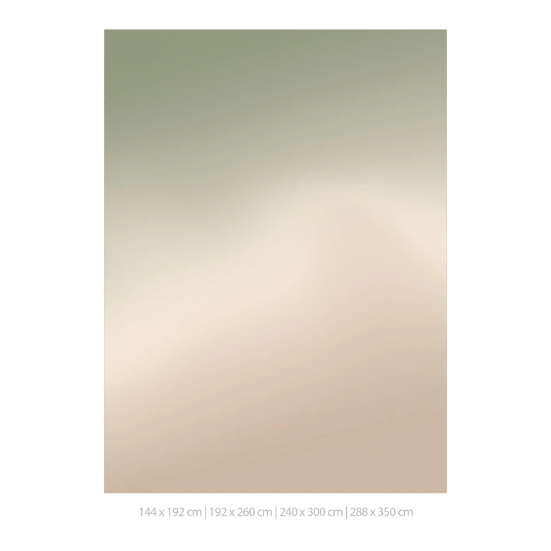 Papel pintado Ombre - Niebla del bosque 