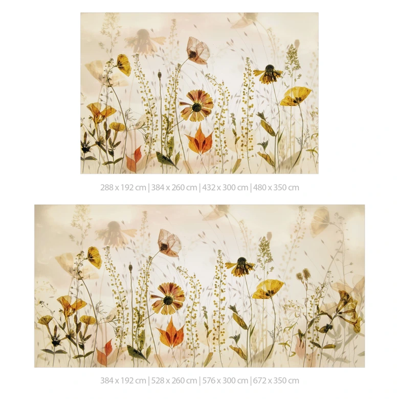 Fototapete Wilde Wiesenblumen im Sonnenlicht | Florale Tapete - Talen 