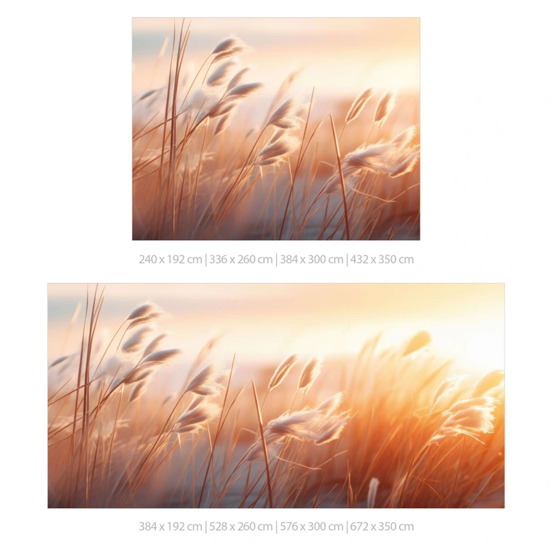 Nature Wall Mural Dune grass in the evening sun - Treechild 
