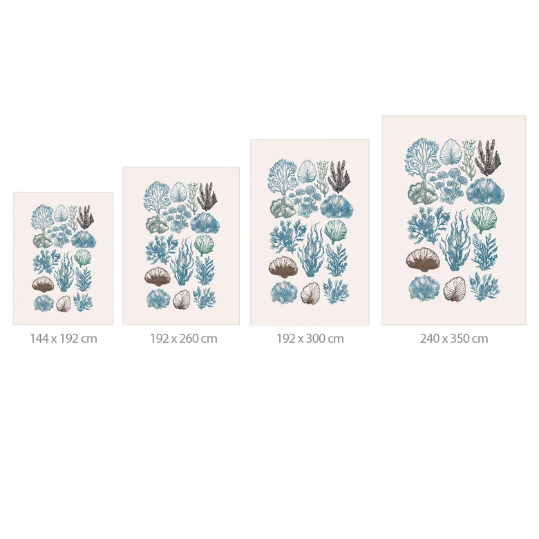 Fototapete Filigrane Algen und Muscheln | Botanische Illustration - casa cartissi 