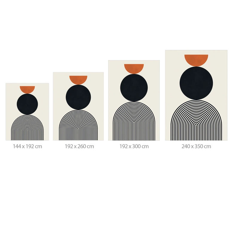 Fototapeta z abstrakcyjnymi liniami i okręgami w harmonii - Costa 