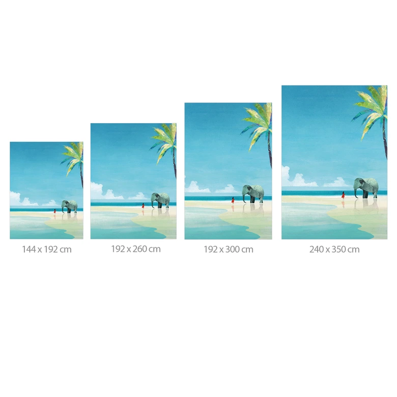 Wall Mural 
Elephant Beach in India - Rivers 