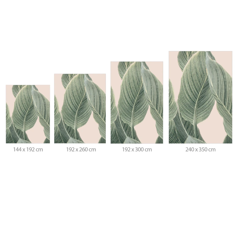 Fototapete Calathea Pflanze - Sisi & Seb 