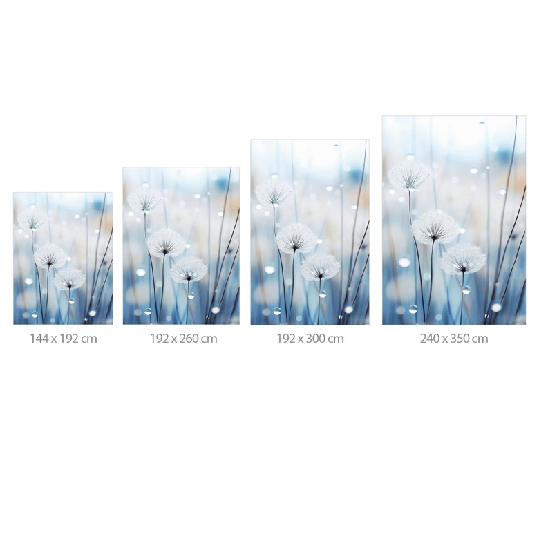 Wall Mural Dew pearls on dandelions | Blue flower wallpaper - Treechild 